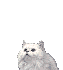 00098